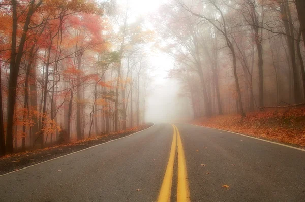 多雾的秋日早晨 — 图库照片