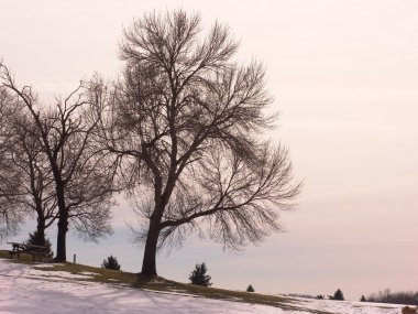 Kış