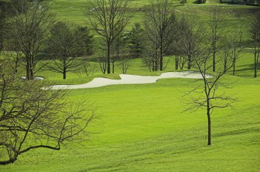 Golf Sahası