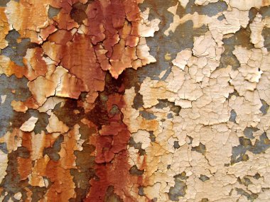 Peeling Paint clipart