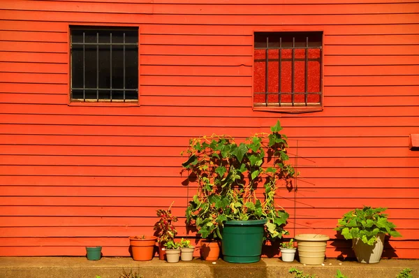 Urban Gardening — Stockfoto