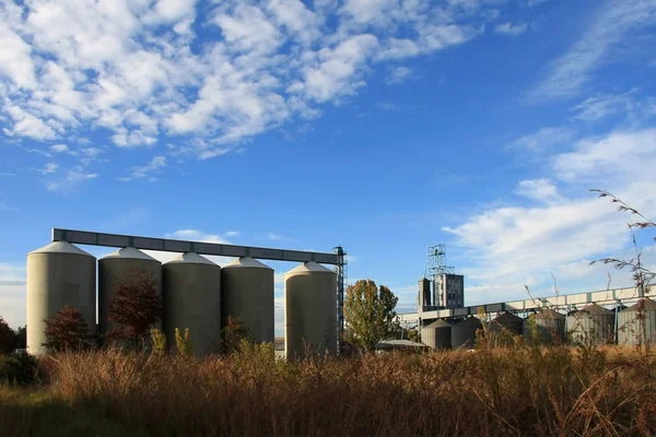 Için tahıl depolama siloları — Stok fotoğraf