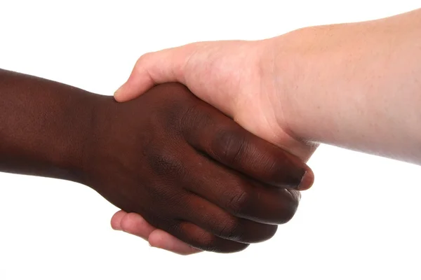 Handshake Multi Racial — Stock Photo, Image