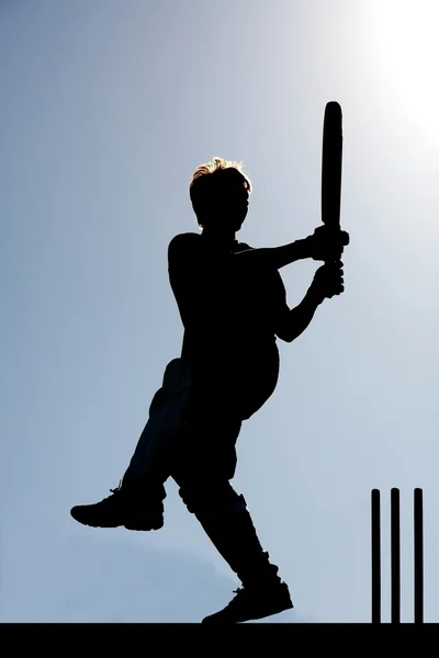 Kriket hry silueta — Stock fotografie