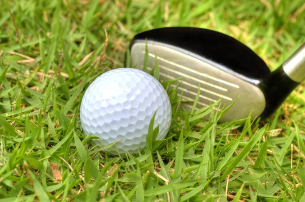 Мяч для гольфа в грубой — стоковое фото