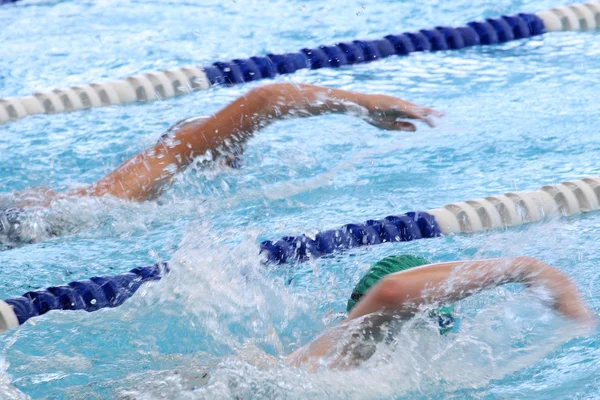 Competição de natação Imagens Royalty-Free