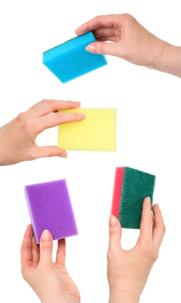 stock image Set of female hands with kitchen sponges