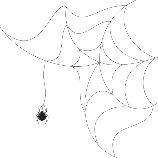 Spindel på nätet — Stock vektor