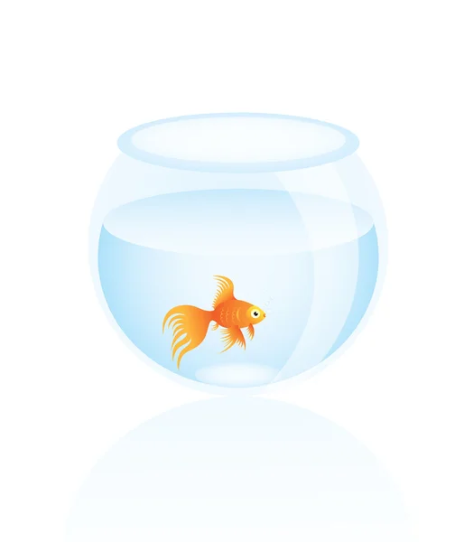 Золотої Рибки акваріумні — стоковий вектор