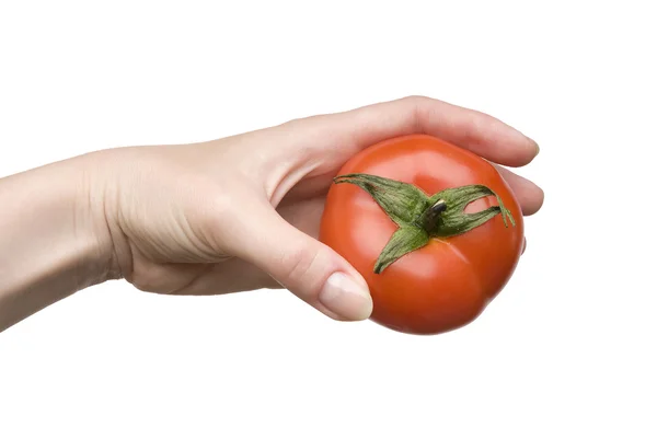 Ώριμη ντομάτα σε ένα γυναικείο χέρι — Φωτογραφία Αρχείου