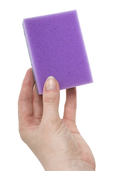 stock image Hand with purple kitchen sponge