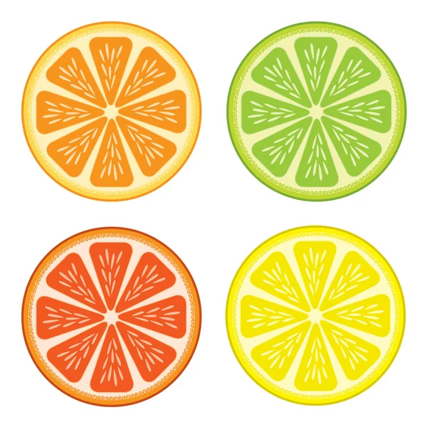 Citrusové plody — Stockový vektor