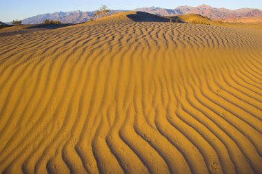 Sandscapes of Death Valley clipart