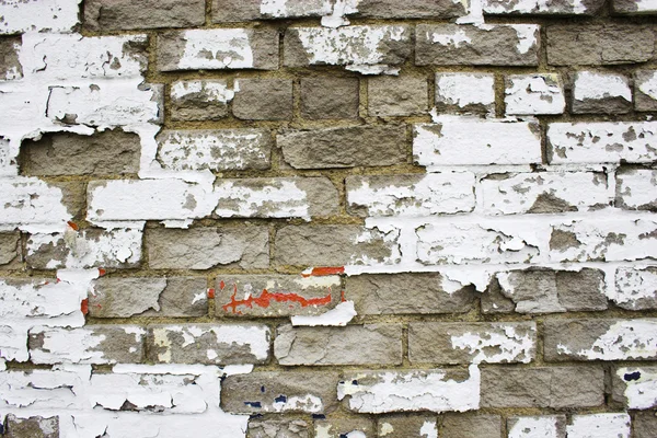 Verschiedene Hintergründe — Stockfoto