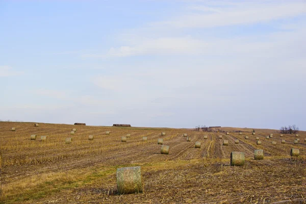Bauernlandschaft — Stockfoto