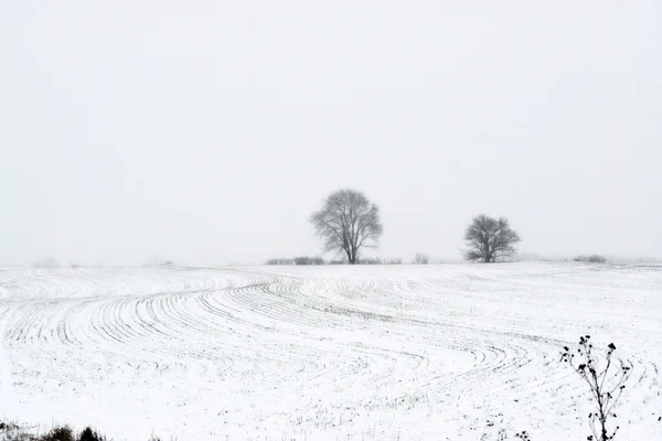 Снег падает на ферму — стоковое фото