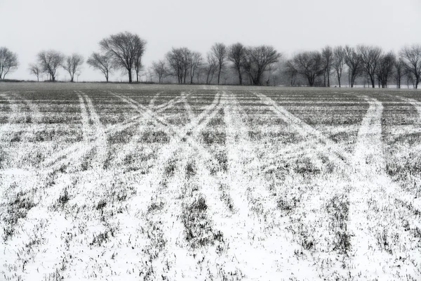Nieve cayendo en la granja —  Fotos de Stock