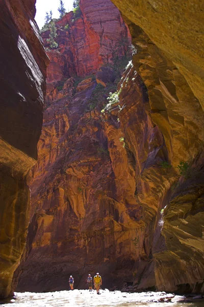 Kanyon dere ve nehirler — Stok fotoğraf