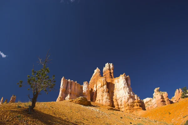 Roca roja de Bryce — Foto de Stock
