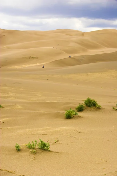 Прогулки по песчаным дюнам — стоковое фото