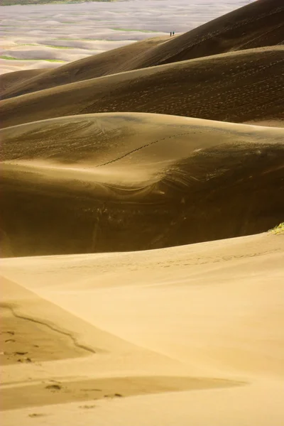 砂丘を歩くと — ストック写真