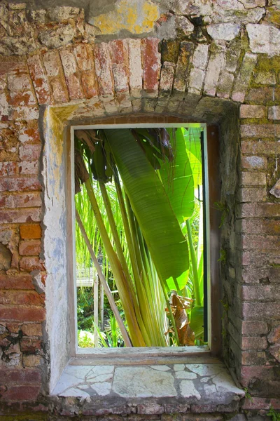 Arquitetura tropical — Fotografia de Stock