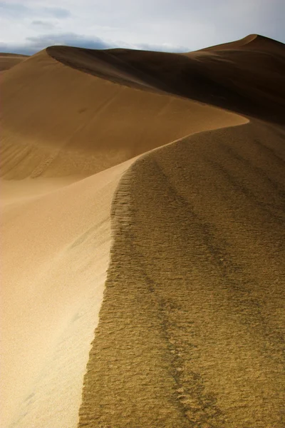 Tvar duny — Stock fotografie