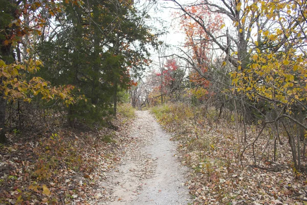 Camino de otoño — Foto de Stock