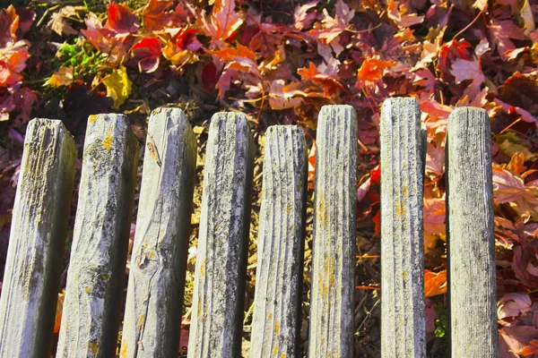 Fond de clôture — Photo