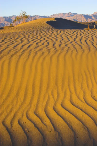 Sandscapes of Death Valley — Stock Photo, Image