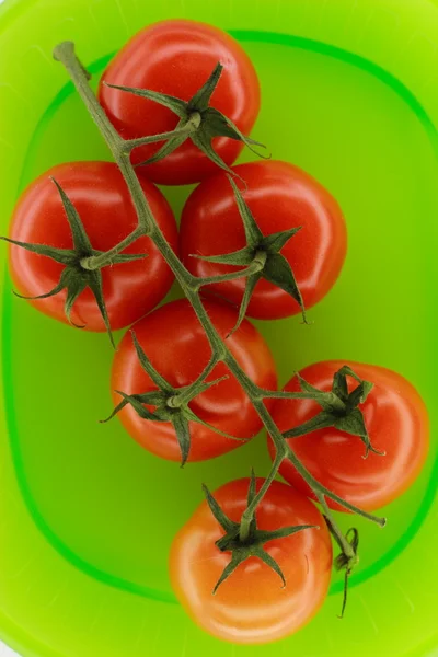 Rajčata na zeleném talíři — Stock fotografie