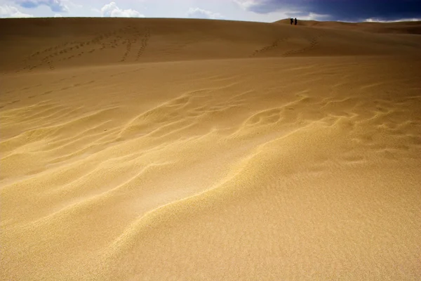 Thunderstorm over sand dunes — Stock Photo, Image