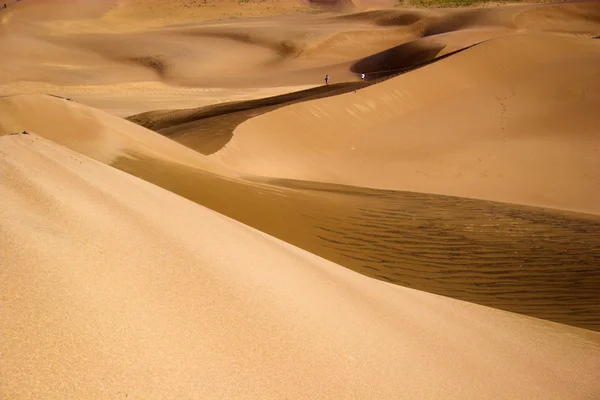 Marche dans les dunes de sable — Photo