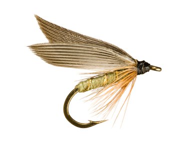 Trout Fishing Fly clipart