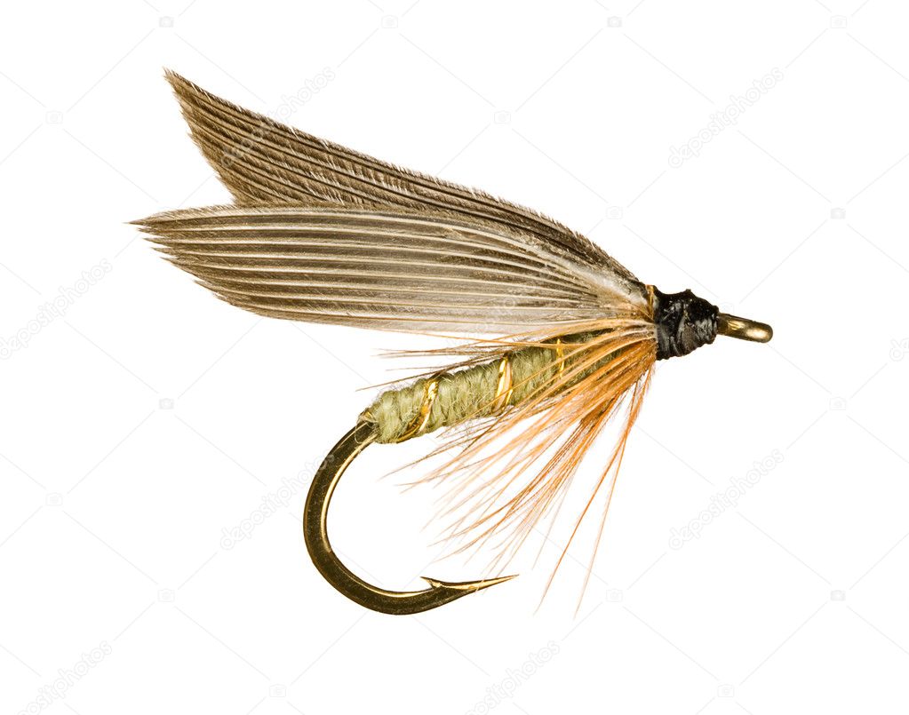 Trout Fishing Fly