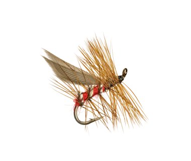 Trout Fishing Fly clipart