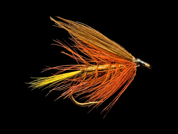 Alabalık balıkçılık fly — Stok fotoğraf