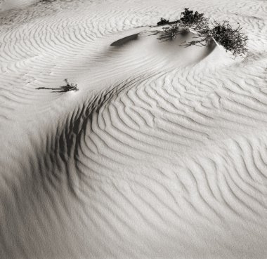 Dunes in desert Negev. Israel. clipart