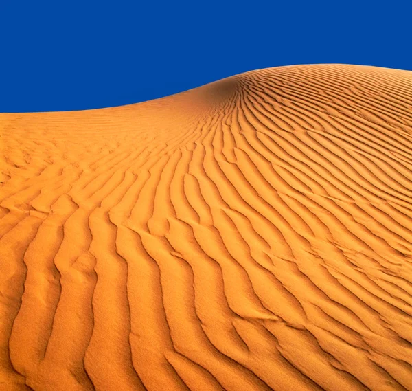 Άμμο αμμόλοφος. — Φωτογραφία Αρχείου