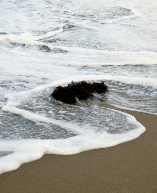 Deniz kıyısı Rock