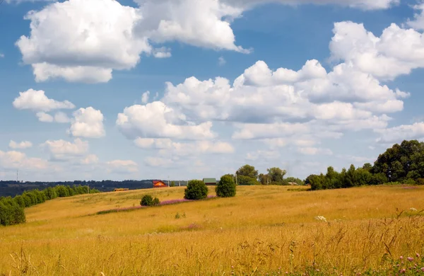 Letni krajobraz wiejski — Zdjęcie stockowe