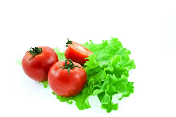 Tomat merah pada daun selada — Stok Foto