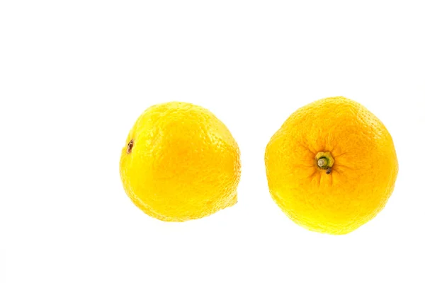 Dva citrony — Stock fotografie