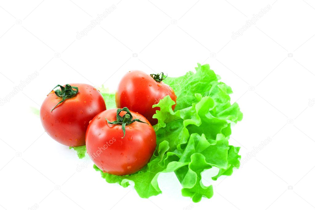 Red tomatos on leaves of lettuce