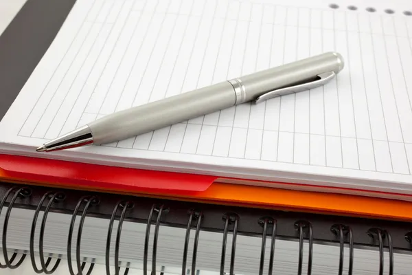 Ручка и две бумажные тетради — стоковое фото