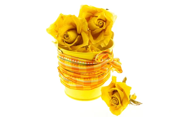 Rosas amarelas secas em balde — Fotografia de Stock