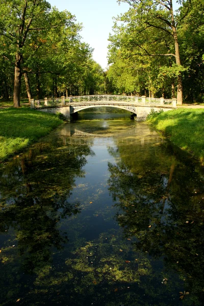 公園内の橋 — ストック写真