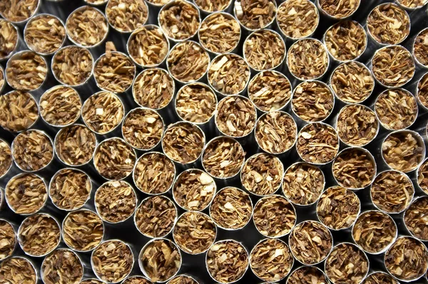 Hodně cigaret — Stock fotografie