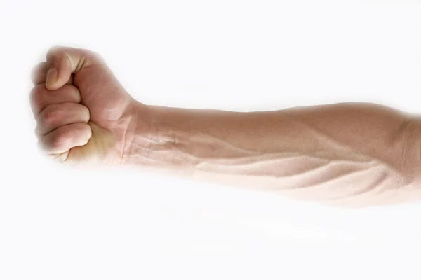 Hand, fist — Stock Photo, Image