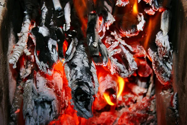 火和灰 — 图库照片